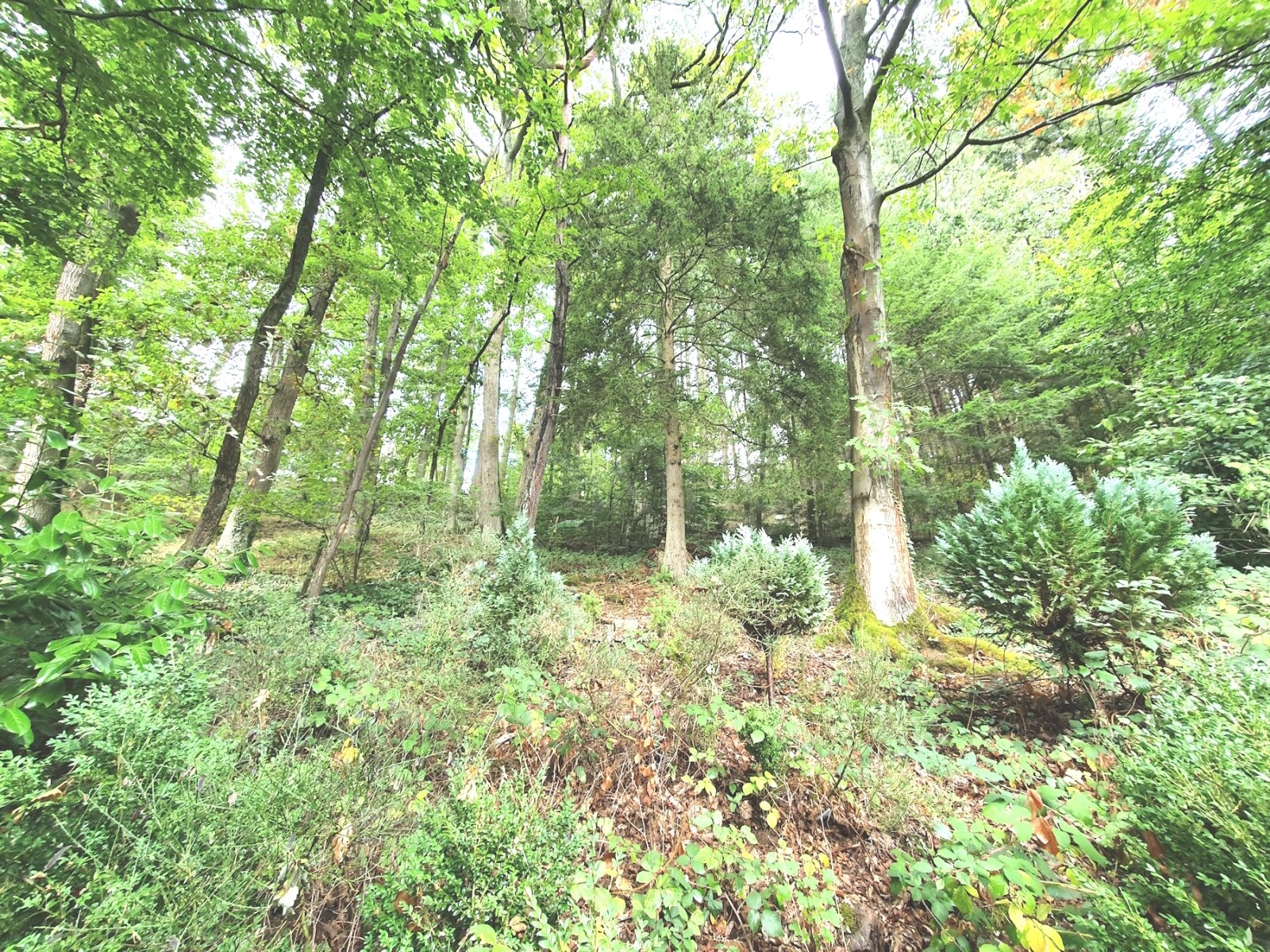 ++ BESONDERES EINFAMILIENHAUS + SONNENTERRASSE + GARTEN IN TRAUMLAGE!! ++