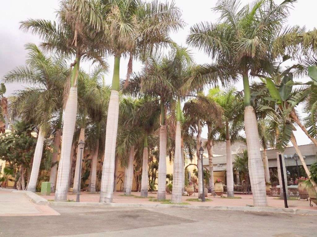 TENERIFFA: ++ NEUBAU UND WEITERES BAULAND ++ TANKSTELLE ++ RESTAURANT ++ APOTHEKE ++ CAFETERIA