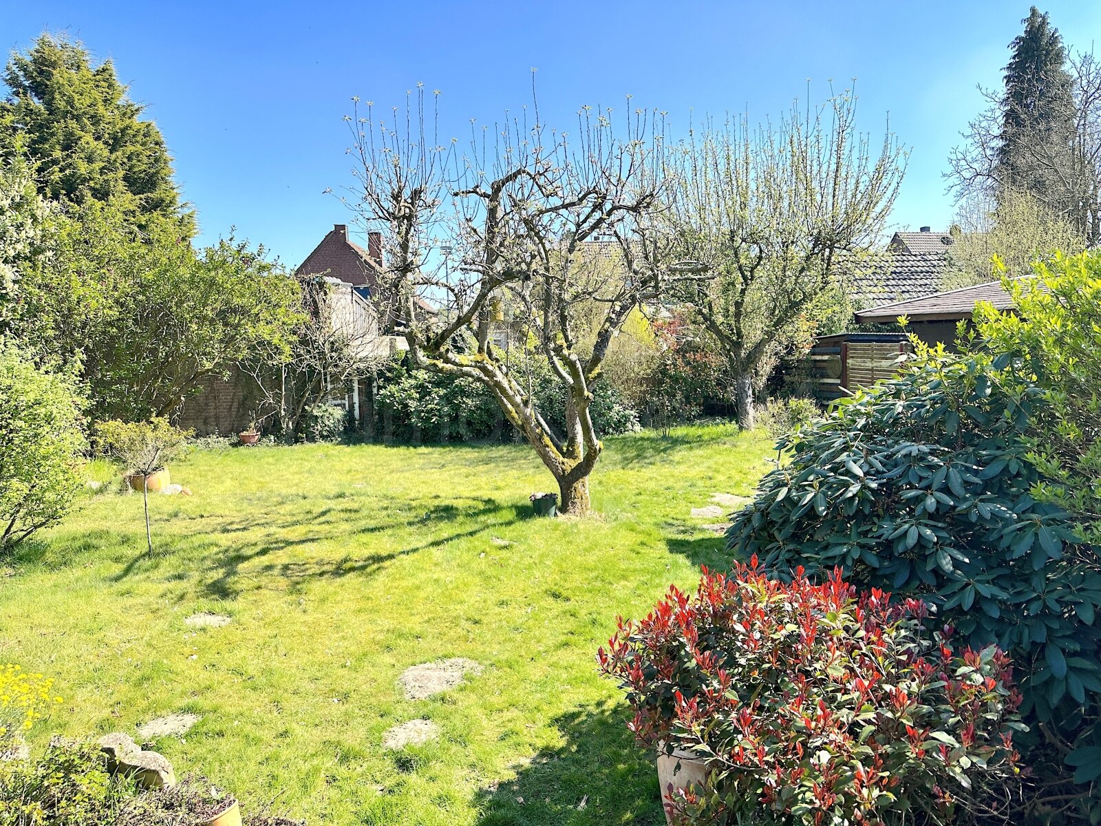 BLICK IN DEN GARTEN ANSICHT 2