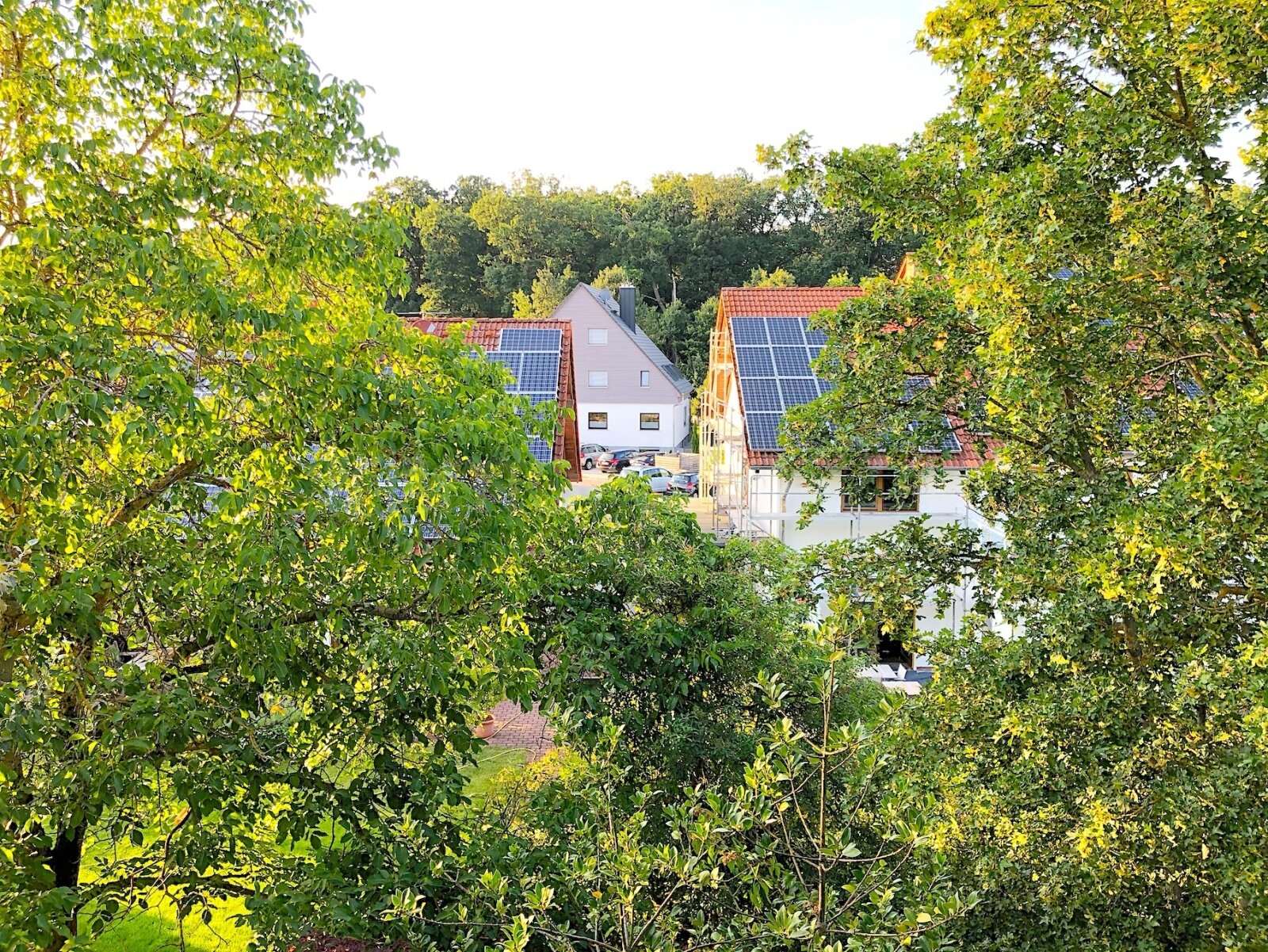 BLICK INS GRÜNE! BLICK INS GRÜNE!
