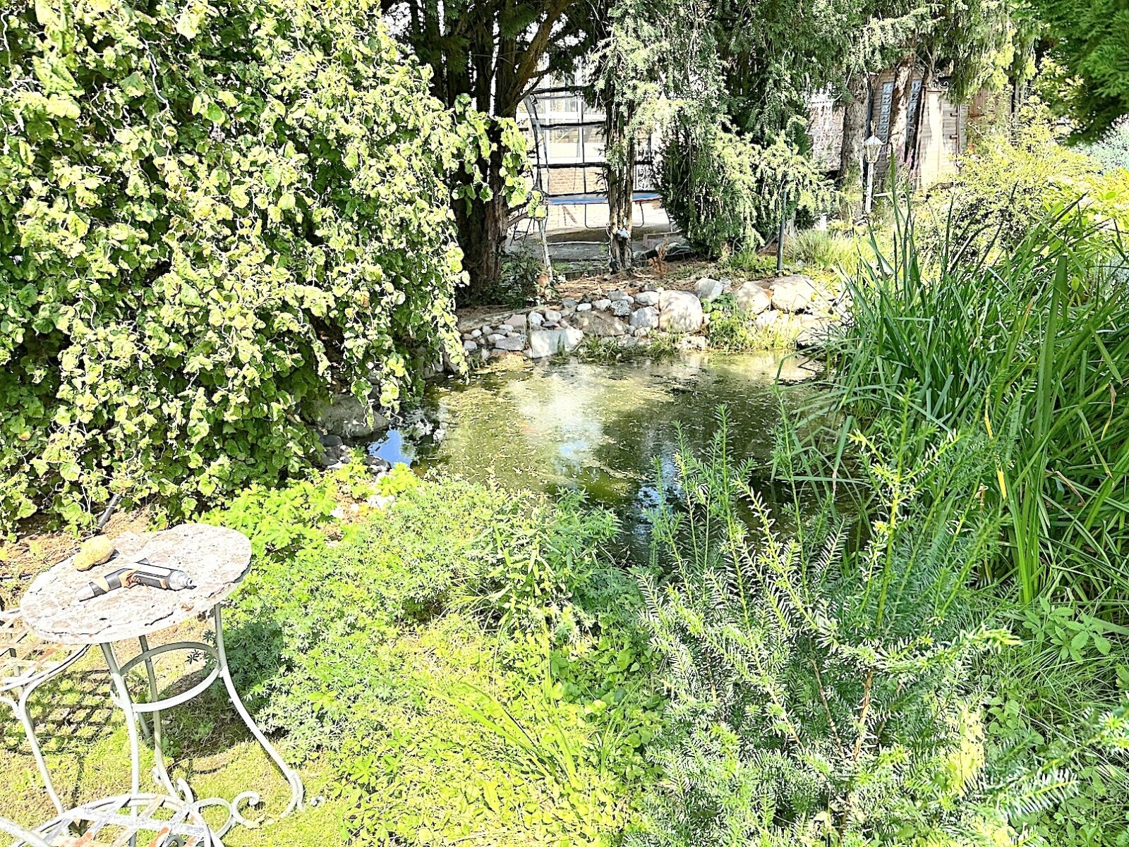 BLICK AUF DEN TEICH BLICK AUF DEN TEICH