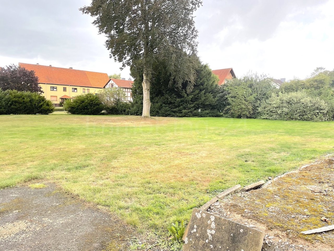 BLICK IN DEN GARTEN