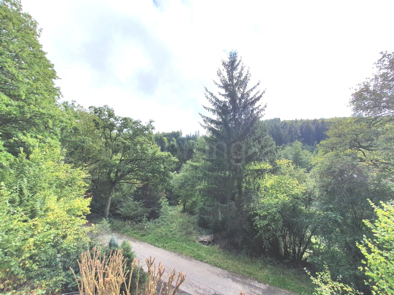 AUSSICHT