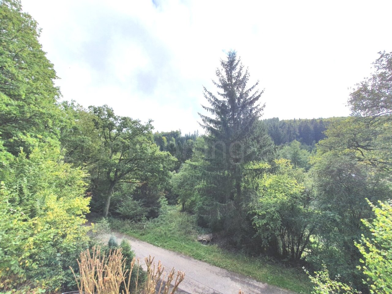 AUSSICHT
