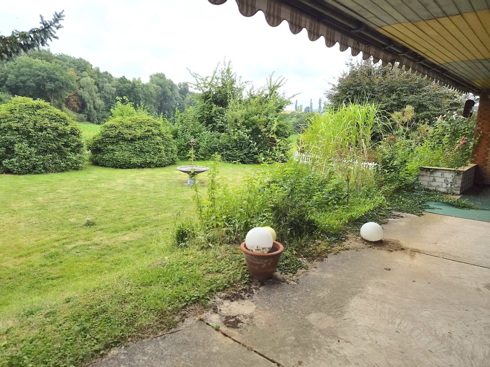 BLICK IN DEN GARTEN BLICK IN DEN GARTEN
